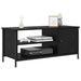 Cabinet TV Stejar Negru 100 x 40 x 45 cm Lemn compozit - WALTI WALTI