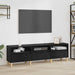 Cabinet TV Stejar Negru 150 x 30 x 45 cm Lemn compozit - WALTI WALTI