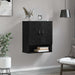 Dulap montat pe perete Pe perete Stejar Negru 60 x 31 x 70 cm - WALTI WALTI