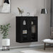 Dulap montat pe perete Negru 69,5 x 34 x 90 cm Lemn compozit - WALTI WALTI