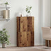 Dulap de birou Stejar Negru 60 x 32 x 115 cm Lemn compozit - WALTI WALTI