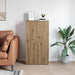 Dulap de birou Stejar Artizanal 60 x 32 x 115 cm Lemn compozit - WALTI WALTI