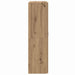 Dulap de birou cu ușă Lemn vechi 60 x 32 x 115 cm Lemn compozit - WALTI WALTI
