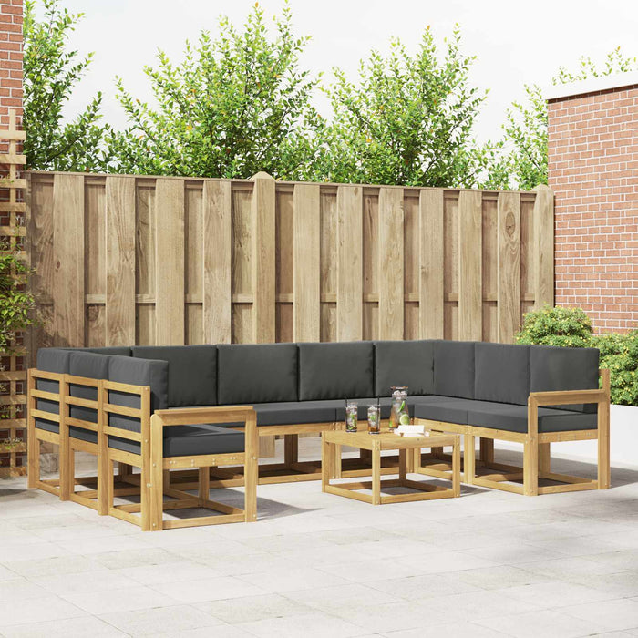 Set de canapele de exterior 10 pcs Alb și antracit WALTI