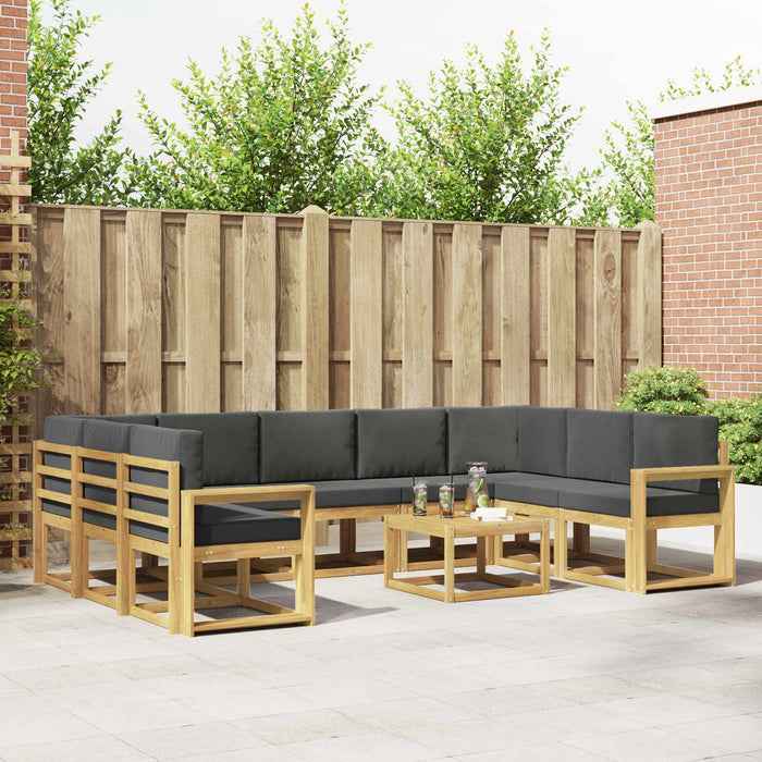 Set de canapele de exterior 10 pcs Alb și antracit WALTI