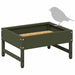 Hrănitor pentru păsări Verde măsliniu 80 x 28 x 13.5 cm - WALTI WALTI