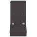 Feeder pentru porci Negru 55 x 38 x 76 cm Oțel Laminat la Rece - WALTI WALTI