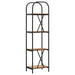 Raft pentru cărți Lemn vechi 40 x 30 x 146 cm Lemn compozit - WALTI WALTI