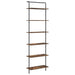 Raft pentru cărți Stejar fumuriu 60 x 24 x 203 cm Lemn compozit - WALTI WALTI