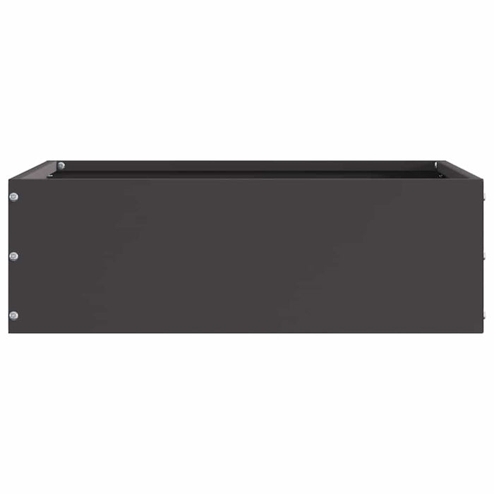 Margine pentru gazon Negru 40 x 40 x 13 cm Oțel - WALTI WALTI