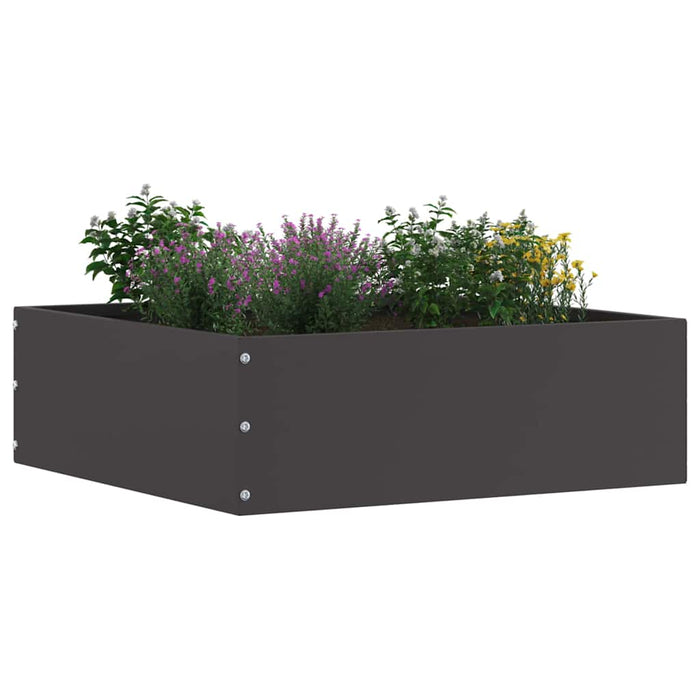 Margine pentru gazon Negru 40 x 40 x 13 cm Oțel - WALTI WALTI