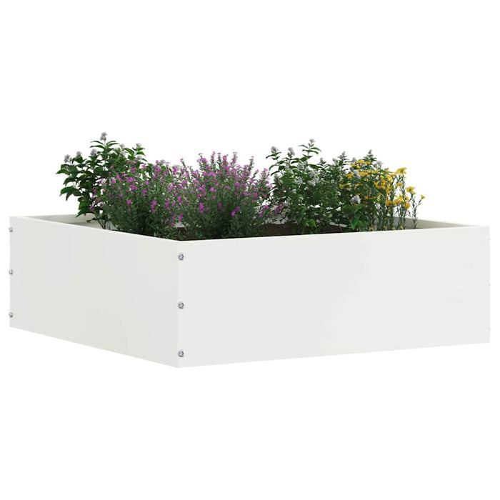Margine pentru gazon Alb 40 x 40 x 13 cm Oțel - WALTI WALTI