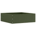 Margine pentru gazon Verde măsliniu 40 x 40 x 13 cm Oțel - WALTI WALTI