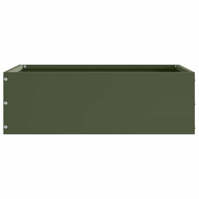 Margine pentru gazon Verde măsliniu 40 x 40 x 13 cm Oțel - WALTI WALTI