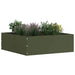 Margine pentru gazon Verde măsliniu 40 x 40 x 13 cm Oțel - WALTI WALTI