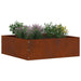 Margine pentru gazon 6 pcs Ruginit 40 x 40 x 13 cm - WALTI WALTI