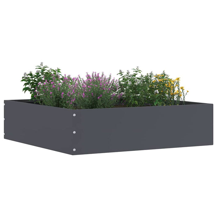 Margine pentru gazon Antracit 50 x 50 x 13 cm Oțel - WALTI WALTI