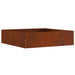 Margine pentru gazon Ruginit 50 x 50 x 13 cm - WALTI WALTI