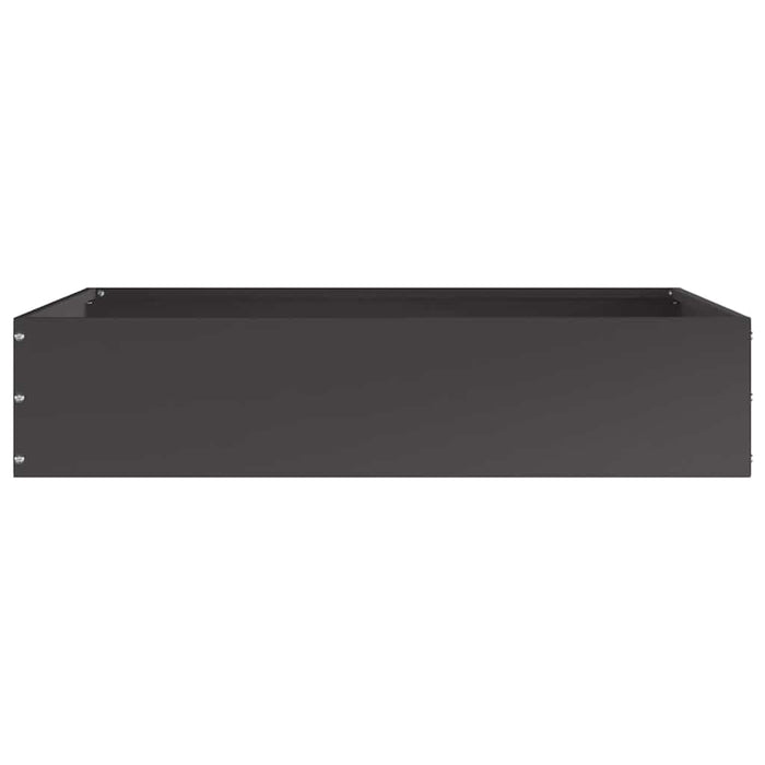 Margine pentru gazon Negru 60 x 60 x 13 cm Oțel - WALTI WALTI