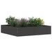 Margine pentru gazon Negru 60 x 60 x 13 cm Oțel - WALTI WALTI