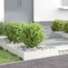 Margine pentru gazon Alb 60 x 60 x 13 cm Oțel - WALTI WALTI