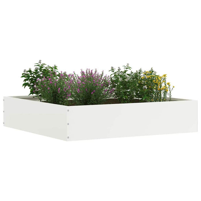 Margine pentru gazon Alb 60 x 60 x 13 cm Oțel - WALTI WALTI