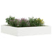 Margine pentru gazon Alb 60 x 60 x 13 cm Oțel - WALTI WALTI