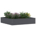 Margine pentru gazon 6 pcs Antracit 60 x 60 x 13 cm Oțel - WALTI WALTI