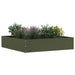 Margine pentru gazon Verde măsliniu 60 x 60 x 13 cm Oțel - WALTI WALTI