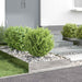 Margine pentru gazon 6 pcs Argintiu 60 x 60 x 13 cm - WALTI WALTI