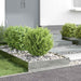 Margine pentru gazon Argintiu 60 x 60 x 13 cm Oțel Galvanizat - WALTI WALTI