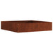 Margine pentru gazon Ruginit 60 x 60 x 13 cm - WALTI WALTI