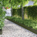 Borduri pentru gazon 30 pcs Verde măsliniu 103 x 0,05 x 22 cm - WALTI WALTI