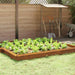 Gard pentru melci Ruginit 50 x 3,5 x 25 cm - WALTI WALTI