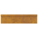 Gard pentru melci Ruginit 100 x 3,5 x 25 cm - WALTI WALTI