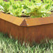 Gard pentru melci Ruginit 13,5 x 13,5 x 25 cm - WALTI WALTI