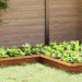 Gard pentru melci Ruginit 10 x 10 x 25 cm - WALTI WALTI