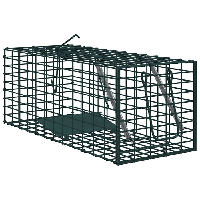 Capcană pentru animale Verde 31 x 13 x 12cm Oțel WALTI