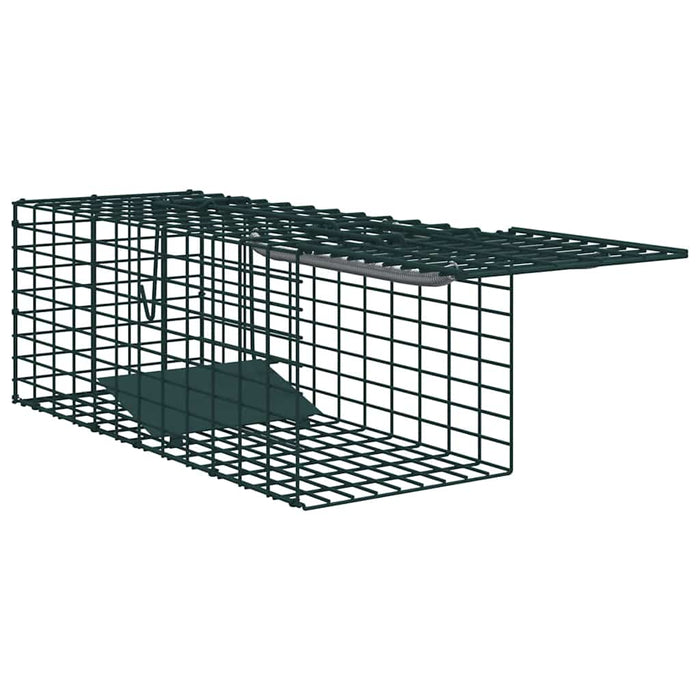 Capcană pentru animale Verde 31 x 13 x 12cm Oțel WALTI