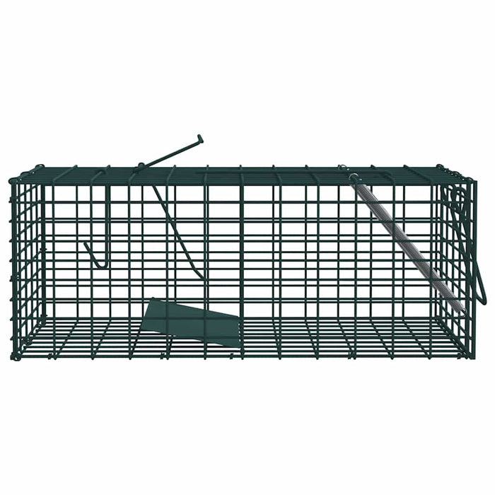Capcană pentru animale Verde 31 x 13 x 12cm Oțel WALTI