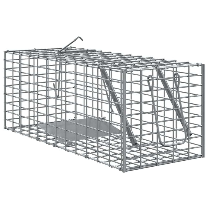 Capcană pentru animale Antracit 31 x 13 x 12cm Oțel WALTI