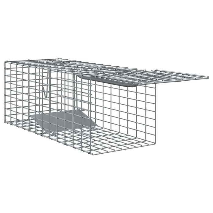 Capcană pentru animale Antracit 31 x 13 x 12cm Oțel WALTI