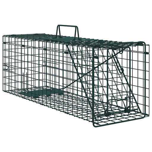 Capcană pentru animale Verde 61 x 20 x 21,5 cm Oțel - WALTI WALTI