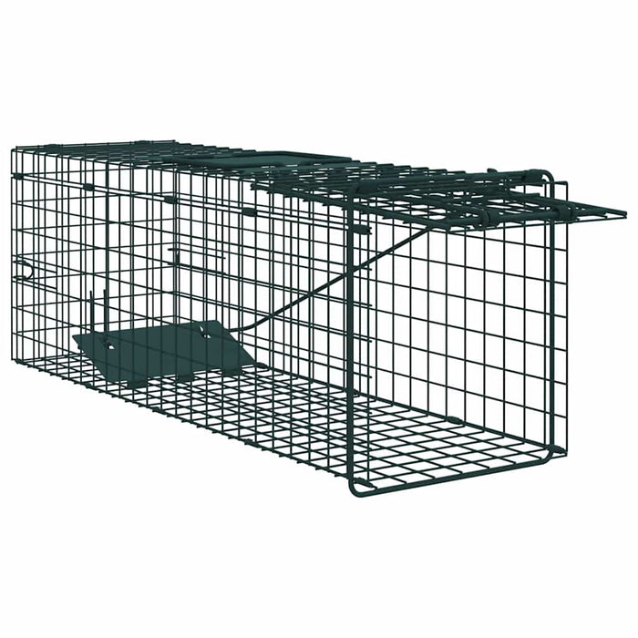Capcană pentru animale Verde 61 x 20 x 21,5 cm Oțel WALTI