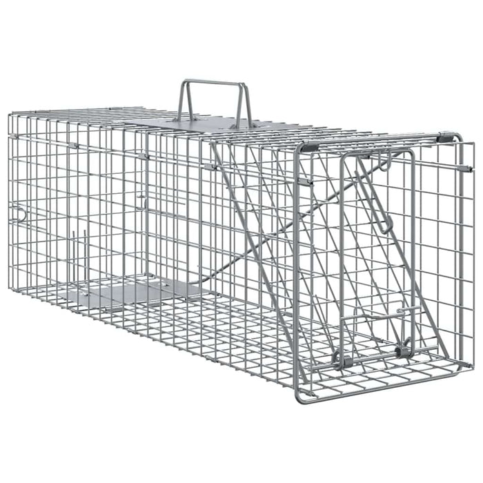 Capcană pentru animale Antracit 61 x 20 x 21,5 cm Oțel WALTI