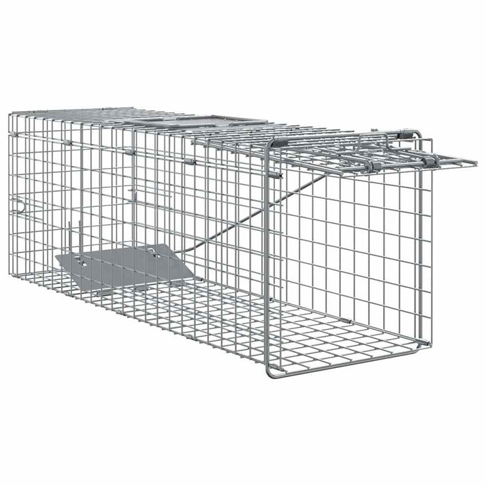Capcană pentru animale Antracit 61 x 20 x 21,5 cm Oțel WALTI