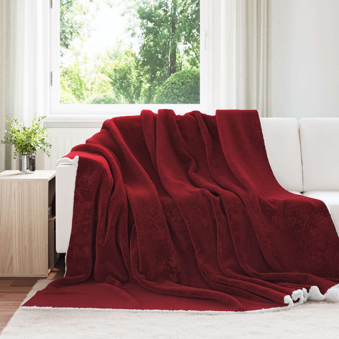 Pătura de aruncat Roșu Bordeaux 240 x 270 cm Molton - WALTI WALTI