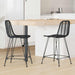 Scaun Bar 2 pcs Negru 44,5 x 54,5 x 97,5 cm Ratan și Fier - WALTI WALTI