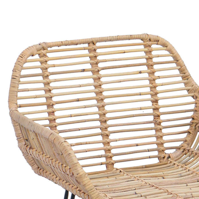 Scaun Bar 2 pcs 55 x 52 x 92 cm Ratan și Fier - WALTI WALTI