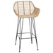 Scaun Bar 2 pcs 55 x 52 x 92 cm Ratan și Fier - WALTI WALTI